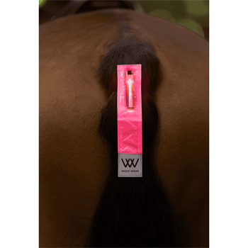 Woof Wear | Hi Vis LED Tail Light | Hi Vis Pink