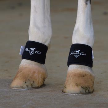 Professional's Choice | 2XCool Pastern Wrap | Black