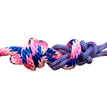 Prof Choice | Rope Halter w/ 10´ Lead Pink/Royal Blue