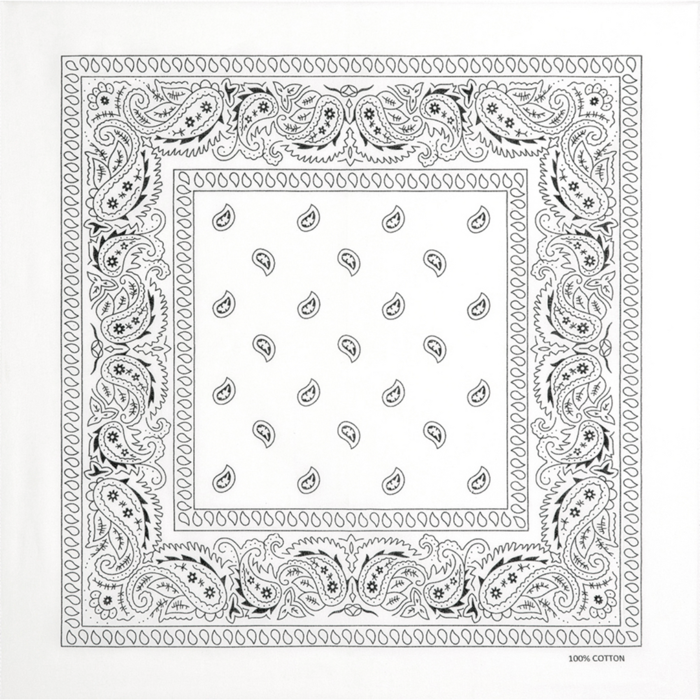 Stars & Strips | Bandana White