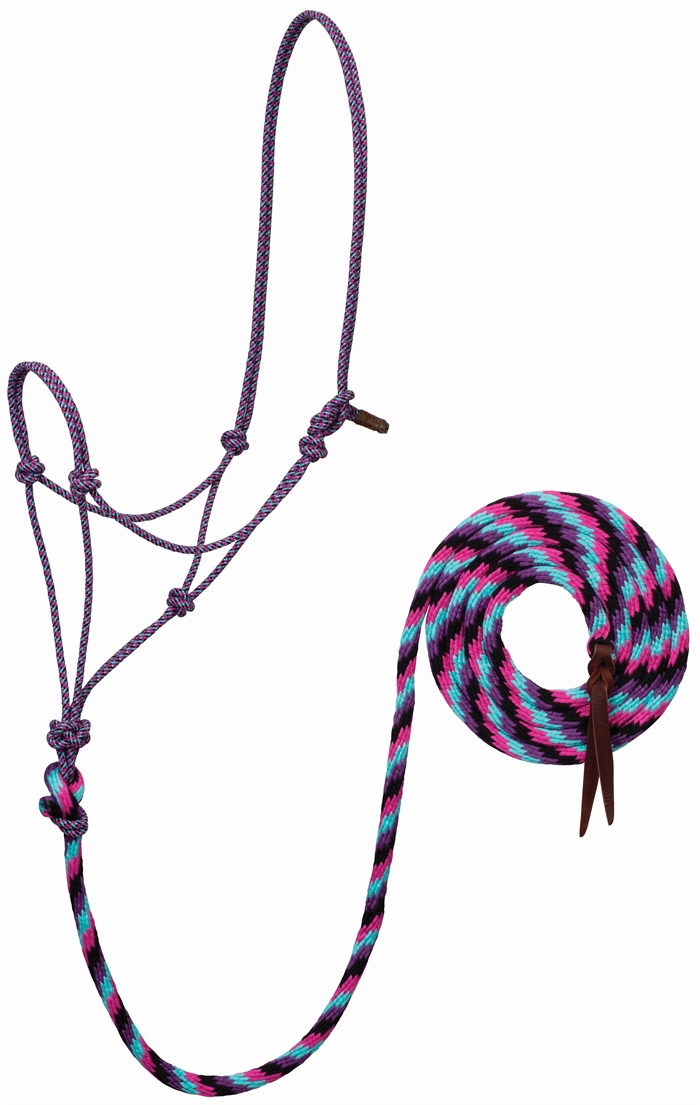 ECOLUXE Rope Halter w/ Lead |  Black/Purple/Raspberry/Radiance