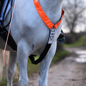 Woof Wear | Hi Vis Neck Band | Orange