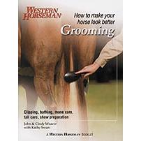 Grooming - How to make your horse look better